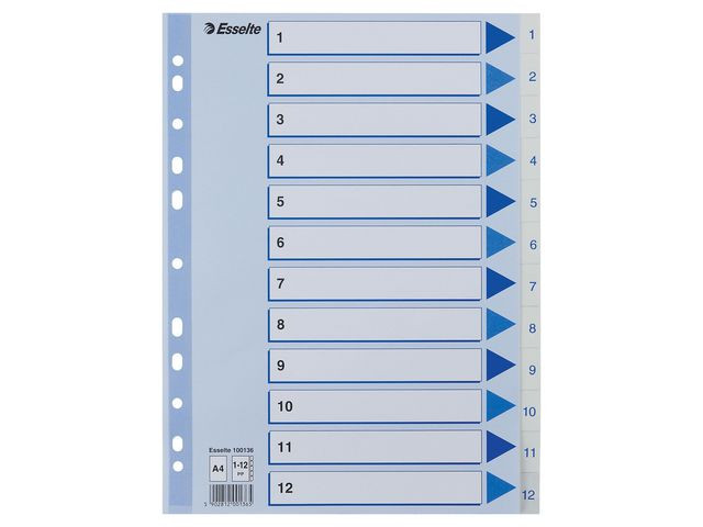 BildeRegister Esselte A4 Plast 1-12 Blå/Hvit (10 stk)