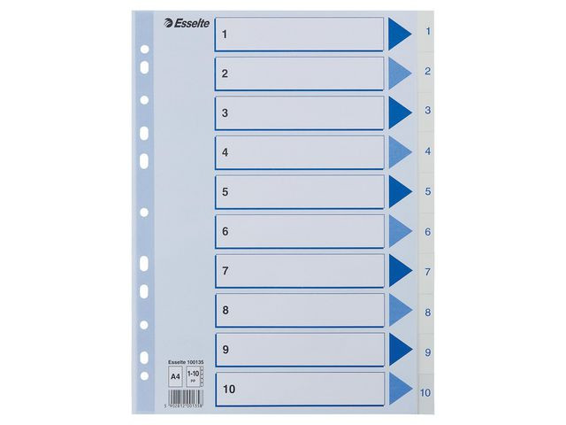 BildeRegister Esselte A4 Plast 1-10 Blå/Hvit (10 stk)