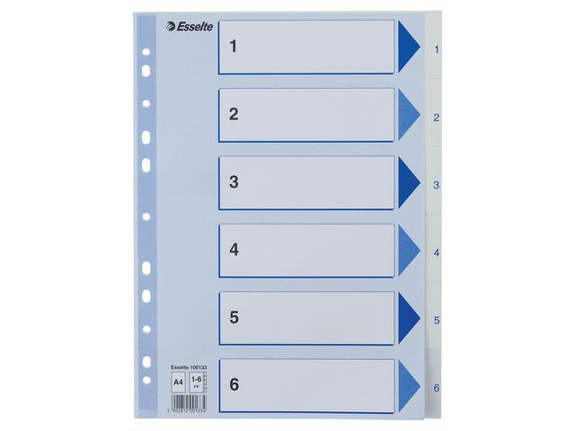 BildeRegister Esselte A4 Plast 1-6 Blå/Hvit (20 stk)