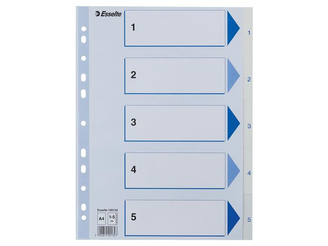 BildeRegister Esselte A4 Plast 1-5 Blå/Hvit