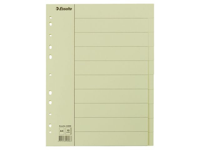 BildeSkilleblad Esselte A4 10-Delt Manilla