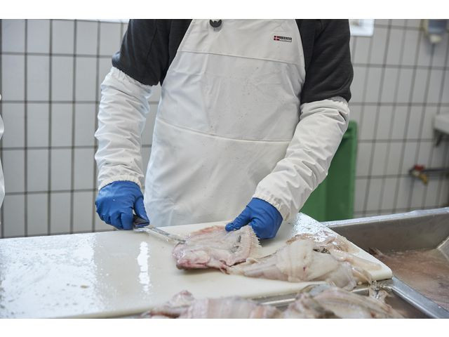 Forkle Lyngsøe Kraftig Pu Hvit