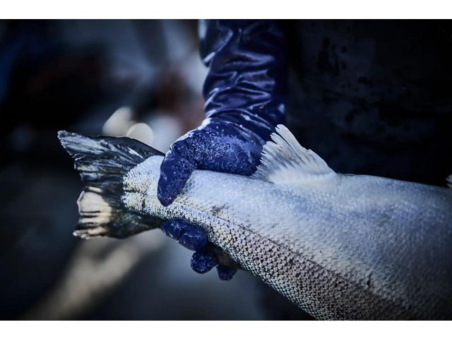 Hanske Granberg 8200 Fiskehanske 10