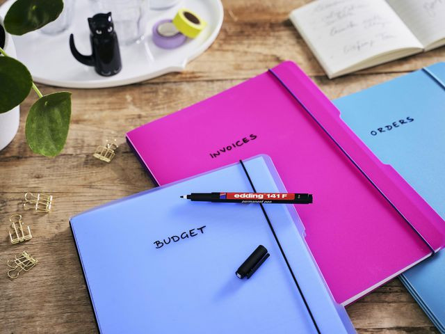 Overheadpenn Edding 141F Perm. Blå (10 stk)