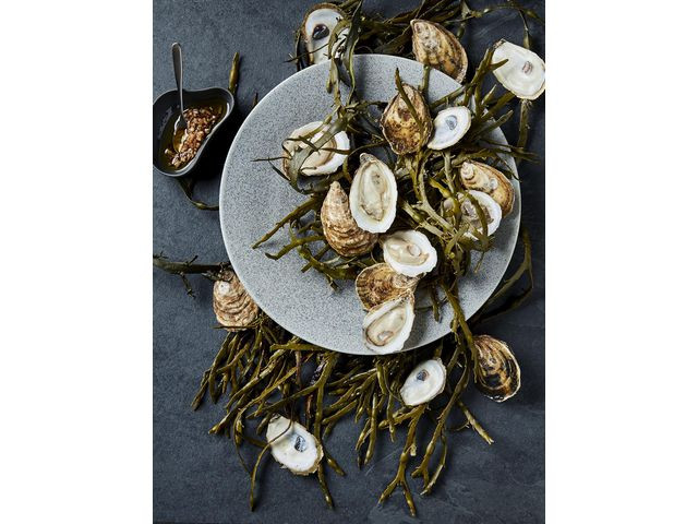 Tallerken Artisan Betong Stengods 27,5Cm (4 stk)