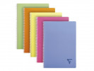 Notatbok Clairefontaine Linicolor A4 Rut...