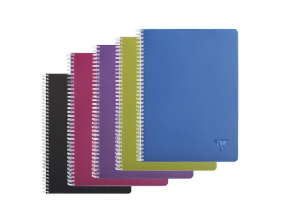 Notatbok Clairefontaine Intense A4 Ruter (5 stk)