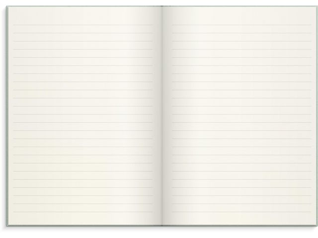 Skrivebok Burde A5 Linjer Grønn