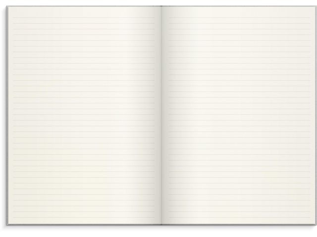 Skrivebok Burde A4 Linjer Lys Grå