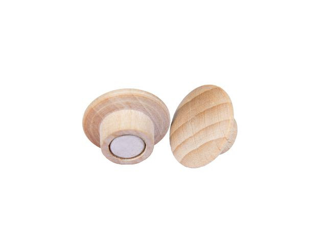 Magnet Legamaster Wooden 25Mm (5 stk)