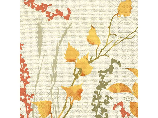 BildeServiett 33Cm Fall Beauty (50 stk)