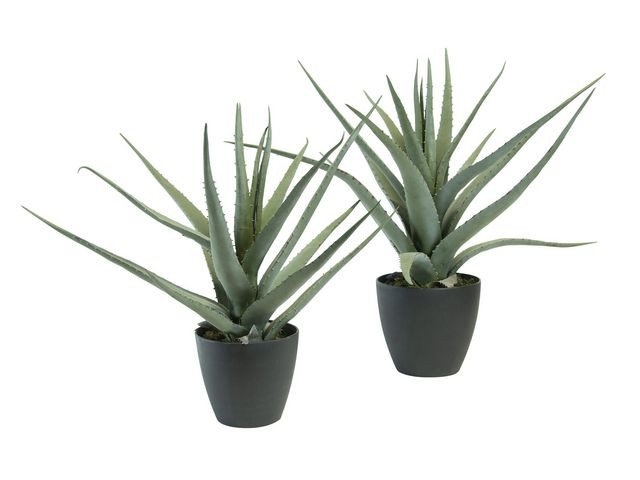 Kunstig Plante Aloe Vera 56Cm