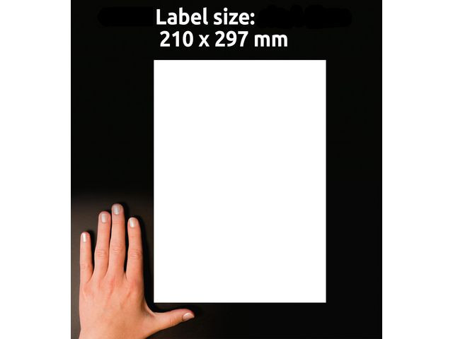 Etikett Avery Avtagbar 210X297Mm (30 stk)