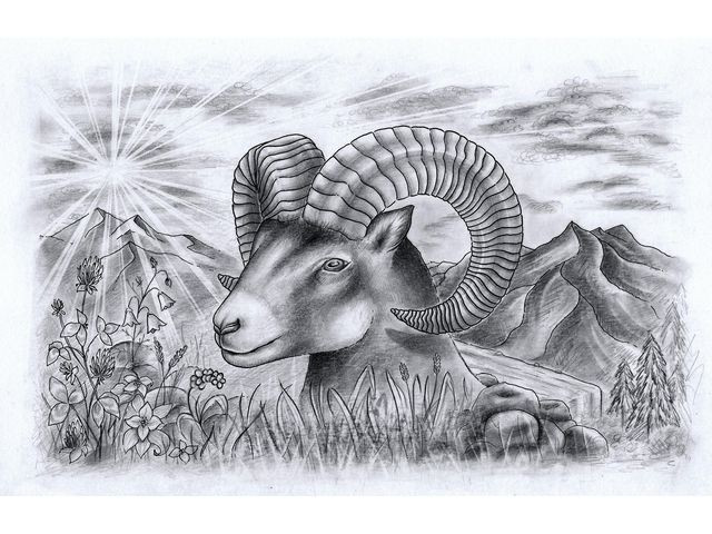 Tegnesett Staedtler Sketching (12 stk)