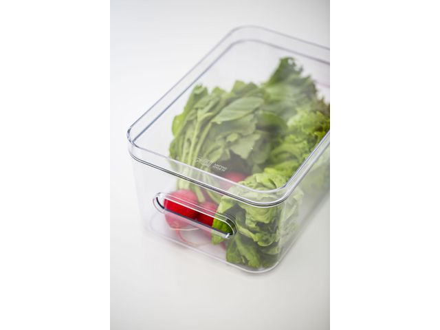 Oppbevaringsboks Smartstore C.clear L