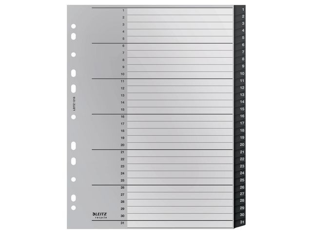 Register Leitz Recycle 1-31 A4+ Pp