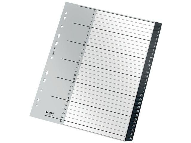 BildeRegister Leitz Recycle 1-31 A4+ Pp