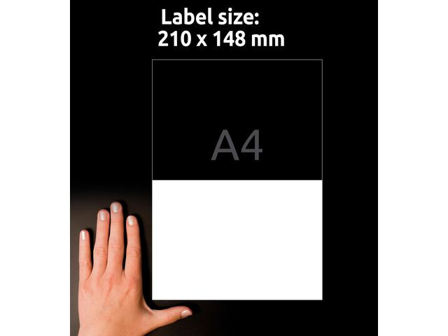 Avery 3655 Universaletiketter ILC 210x148 (200)