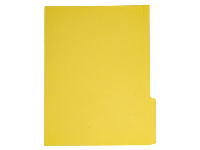 BildeVertikalmappe A4 Fane H. 150G Mani. (100 stk)