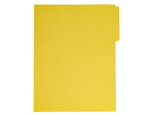 BildeVertikalmappe A4 Fane V. 150G Mani. (100 stk)