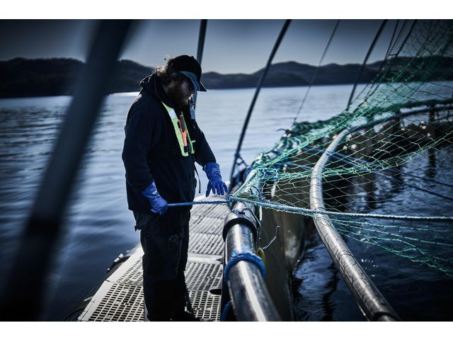 Hanske Chemstar 0630 Kjem. Nitril 9 (10 par)