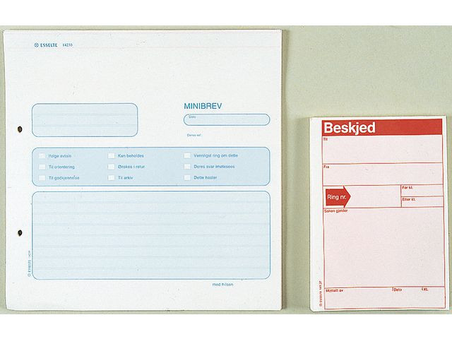 BildeBeskjedblokk Esselte A6 100 Blad (10 stk)