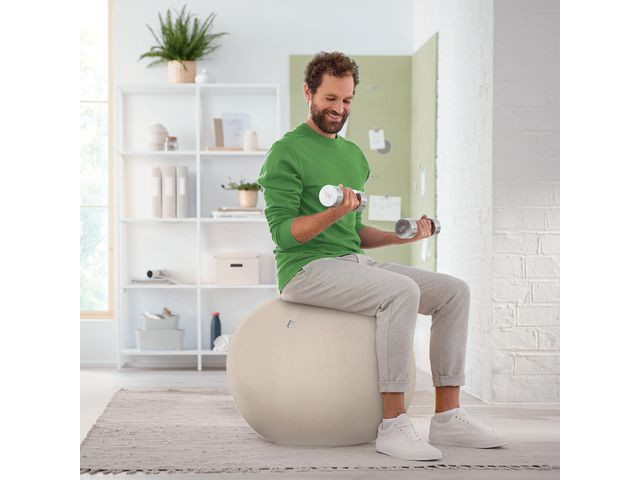 Balanseball Leitz Ergo 65Cm Lys Grå