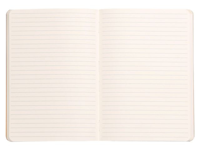 Notatbok Rhodia A5 Turkis