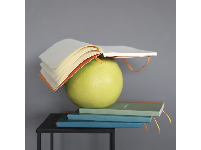 Notatbok Rhodia Rhodiarama A5 Grønn