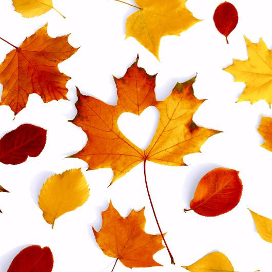 BildeServiett Paperdesign 33Cm Autumn L (20 stk)