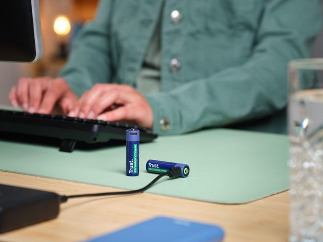 Batteri Trust Usb-C Oppladbare Aa (2 stk)