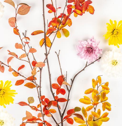BildeServiett Paperdesign 33Cm Autumn B (20 stk)