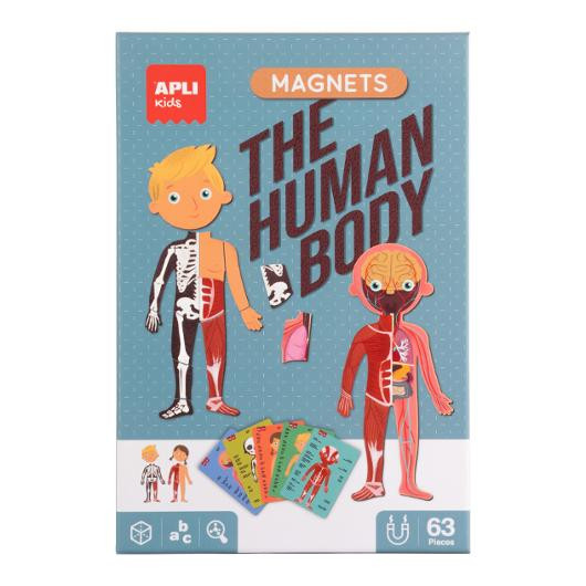 BildeSpill Apli Menneskekroppen Magnet