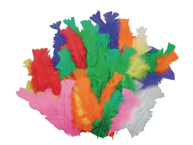 Kalkunfjær Playbox (60 stk)