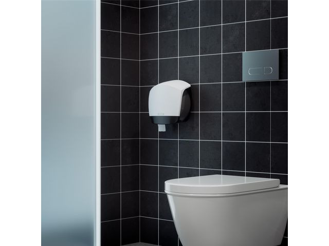 Toalettpapir Katrin Plus G S 2L 160M (12 stk)