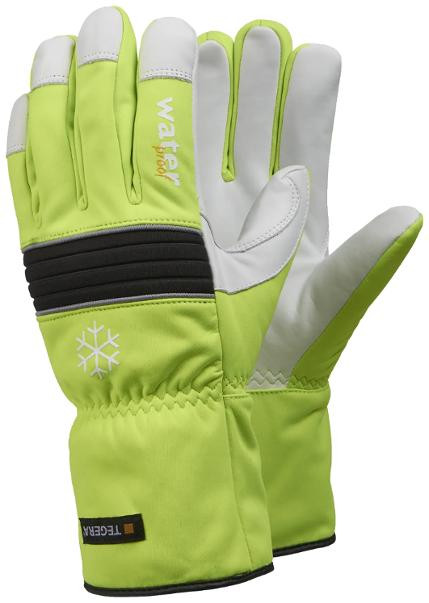 BildeHanske Tegera 299 Vinter Lær Hivis 10