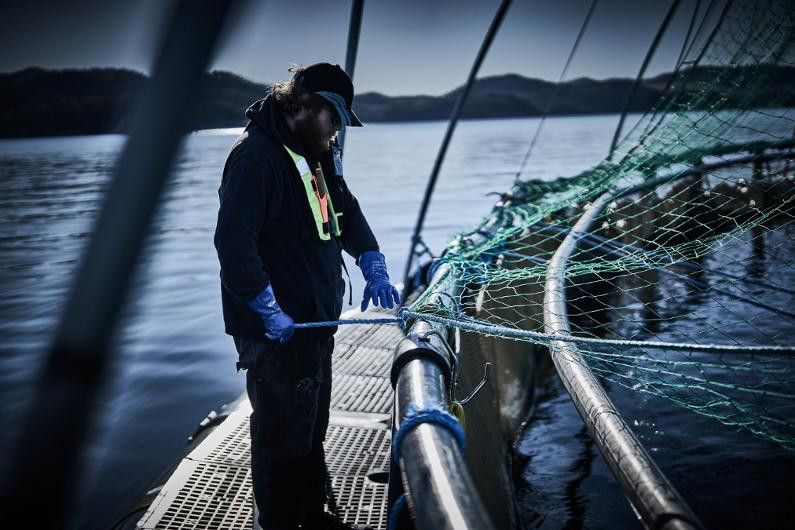 Hanske Chemstar 0630 Kjem. Nitril 12 (10 par)