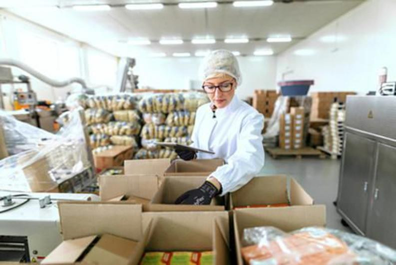 Hanske Hyflex 11-840 Lett Arbeid 12