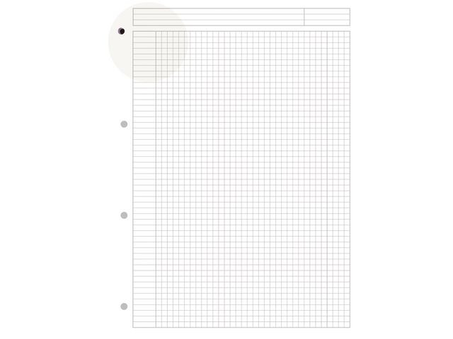 Notatbok Oxford Int. Notebook A4+ Ruter
