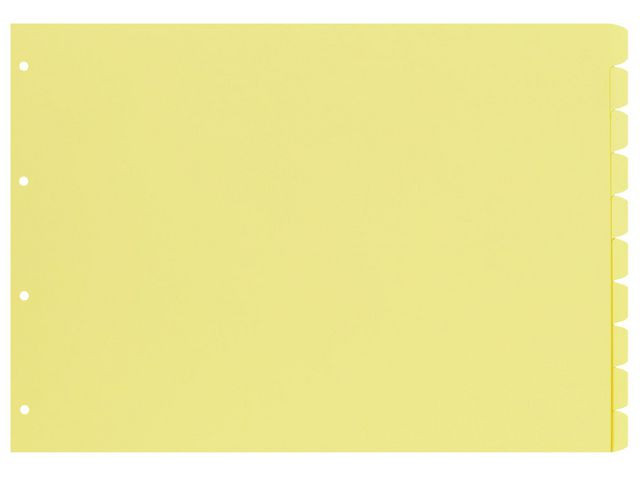 BildeSkilleblad Esselte A3 10-Delt Manilla Tv