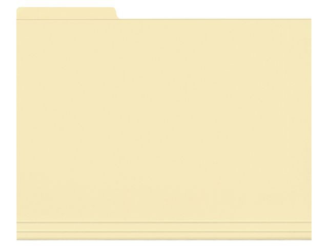 BildeVertikalmappe Esselte A4 Fane Vens 210G (100 stk)