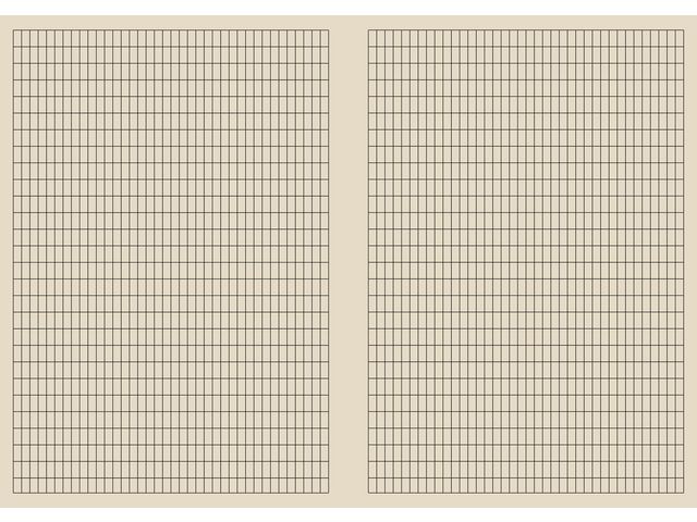 Arbeidsbok A4 80G 5X10 Rutet (20 stk)