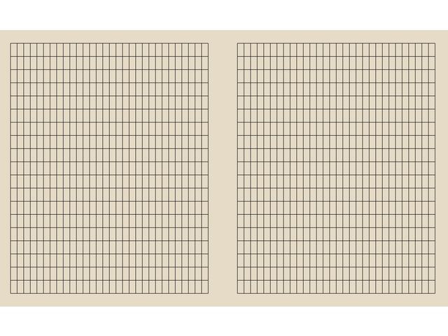 BildeKladdebok 17X21Cm 55G 30Bl 5X10Mm Ruter (20 stk)