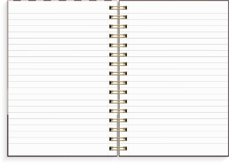 Spiralbok Burde A5 Stripes