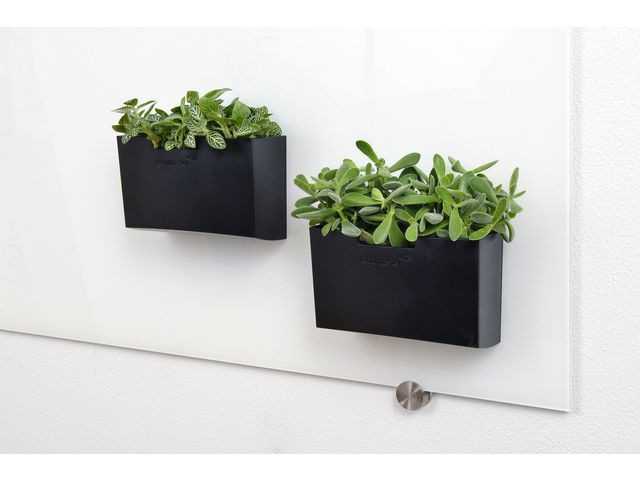 Tilbehørsholder Legamaster Glasstavle