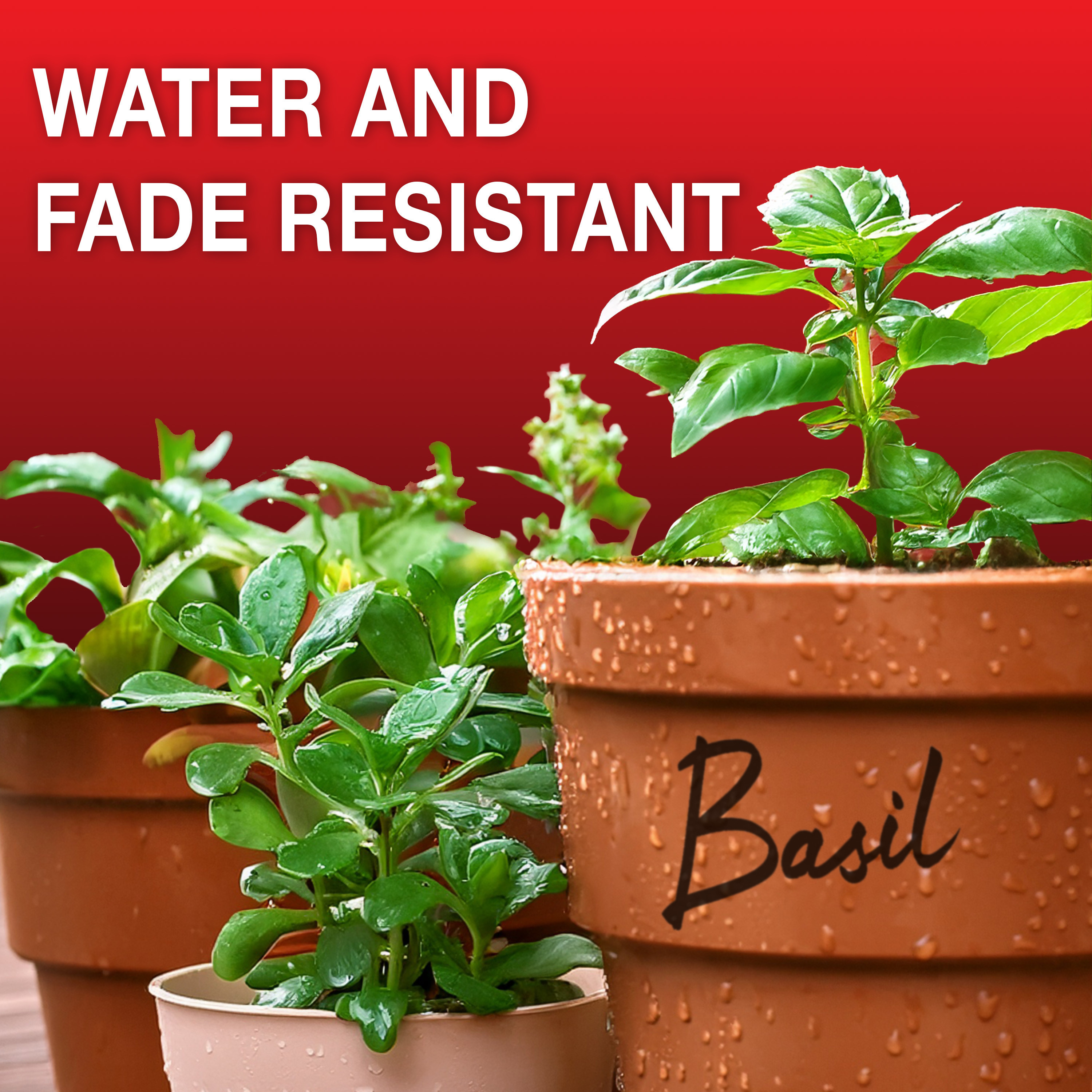 SHARPIE Marker Fine 1,00mm Holiday Edition ass (25)