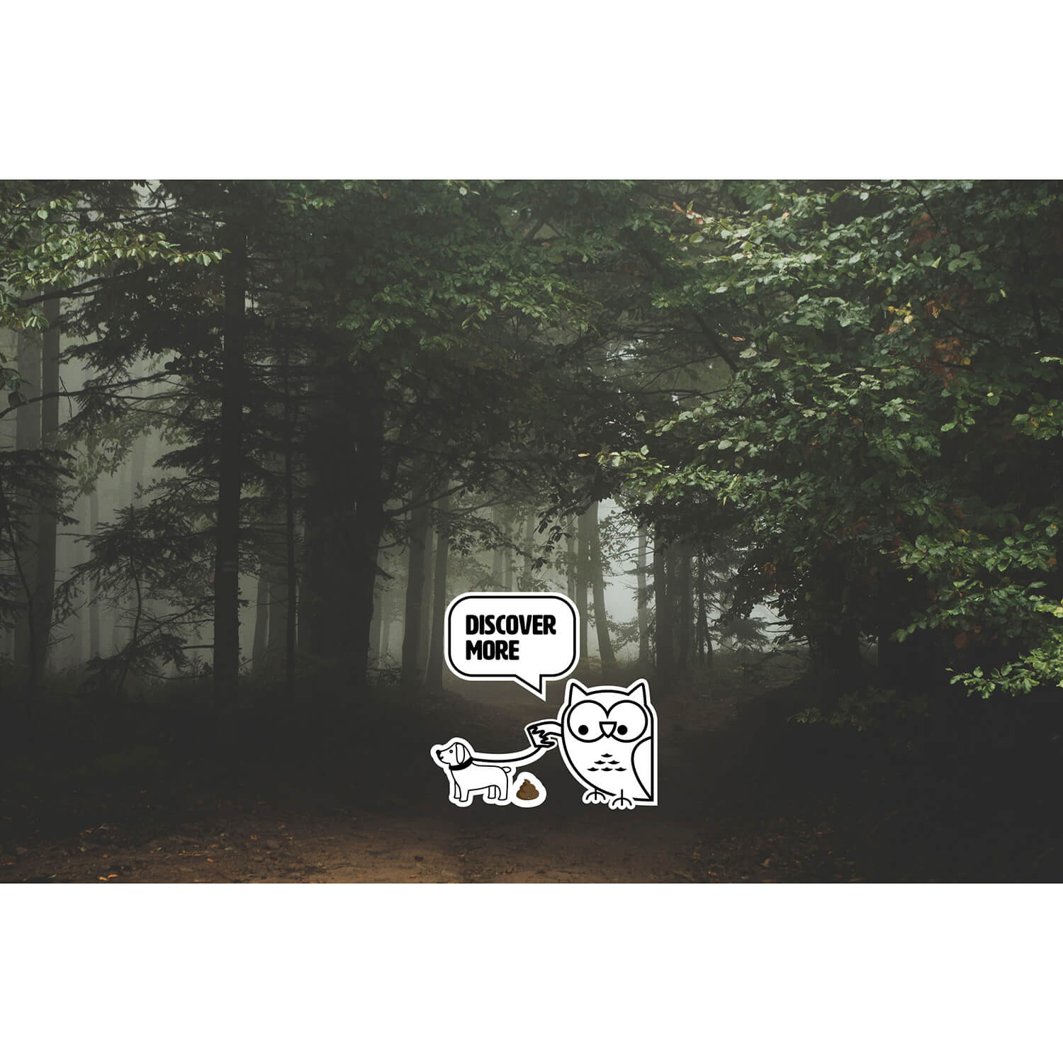 GP Discovery Torch C32 300lm