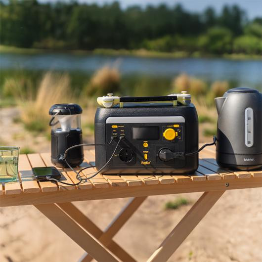 Ricoh Transfer Unit (95.000 sider)