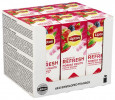 Te Lipton Skogsbær (25 stk)