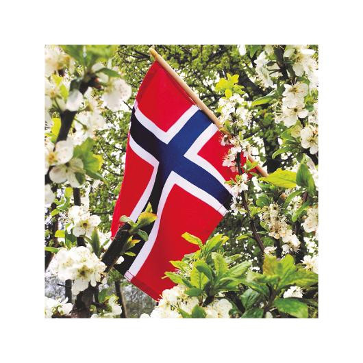 BildeServiett 17.Maiflagg 3L 33X33Cm (20 stk)